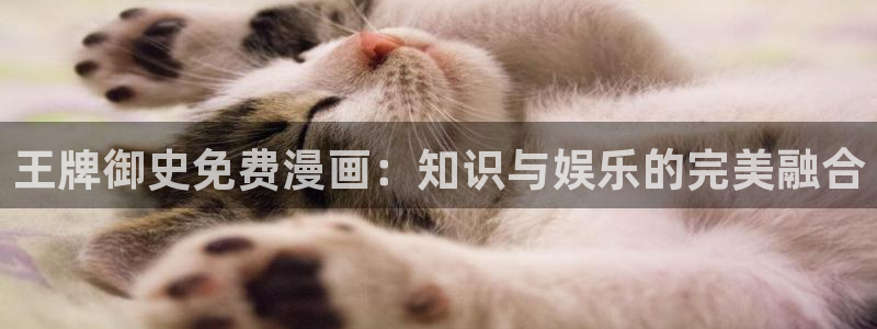 哔咔哔咔漫画大全：王牌御史免费漫画：知识与娱乐的完美融合