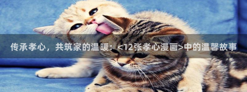 哔咔漫画下载后怎么看：传承孝心，共筑家的温暖：<12张孝心漫画>中的温馨故事