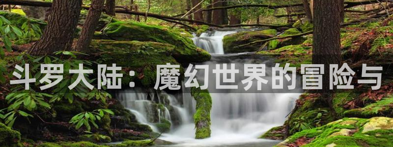 哔咔漫画图片下载：斗罗大陆：魔幻世界的冒险与
